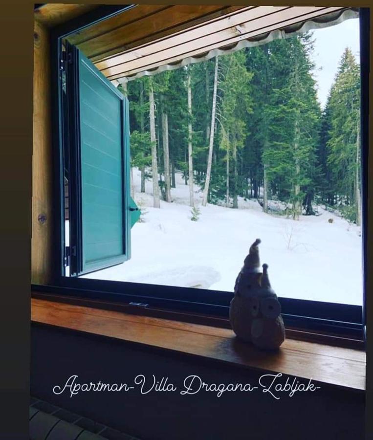 Vila Dragana Žabljak エクステリア 写真