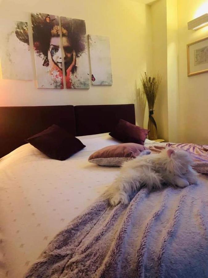 Vila Dragana Žabljak エクステリア 写真