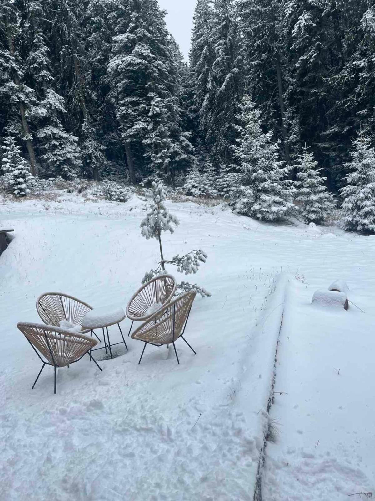 Vila Dragana Žabljak エクステリア 写真